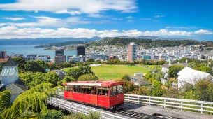 Gay dating in Wellington